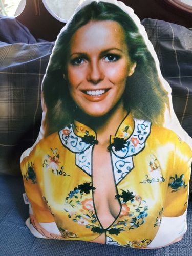 Customer photo review of Create A Custom Anything Pillow