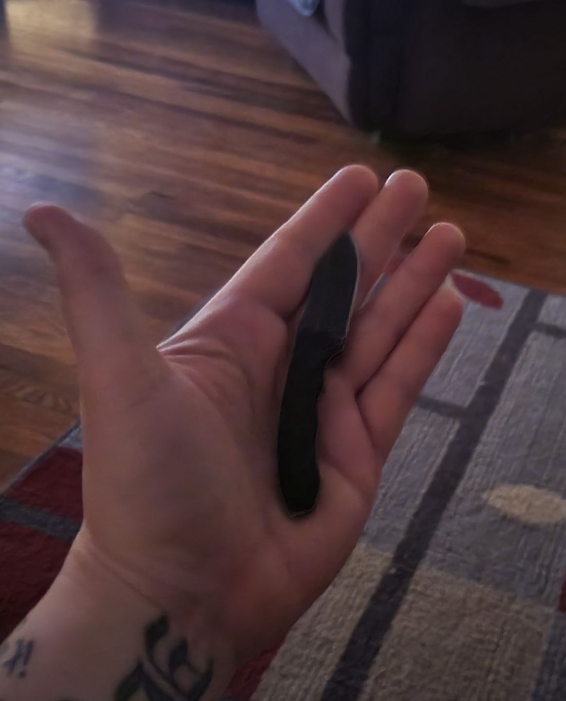 Customer photo review of The Mini
