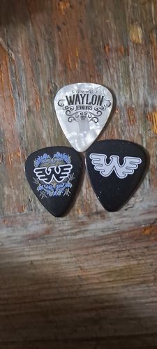 Customer photo review of Waylon & Jessi  Portrait Promo Photo
