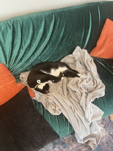 Customer photo review of White