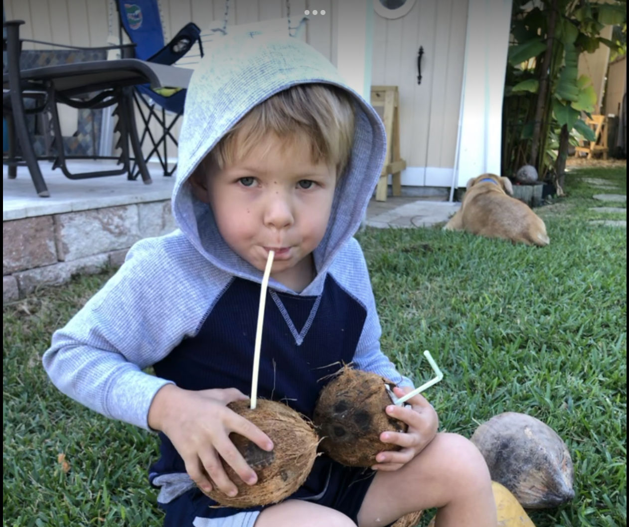 Customer photo review of Sprouted Coconut Box