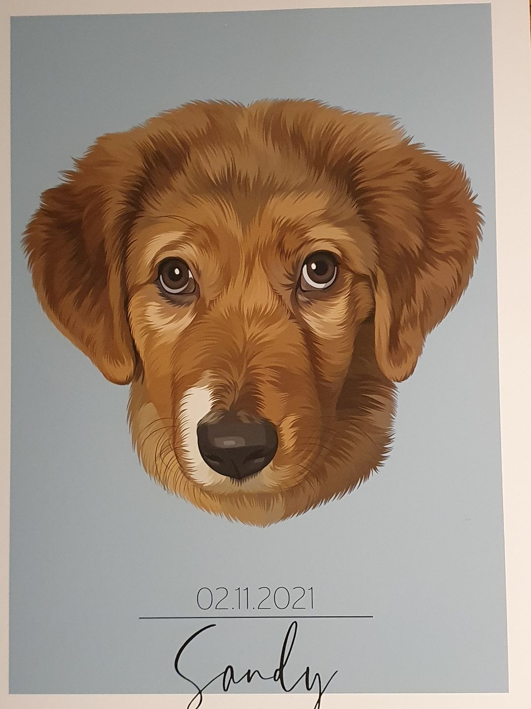 Customer photo review of Portrait deines Tieres