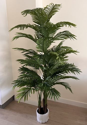 Customer photo review of Kunstpalm 180cm