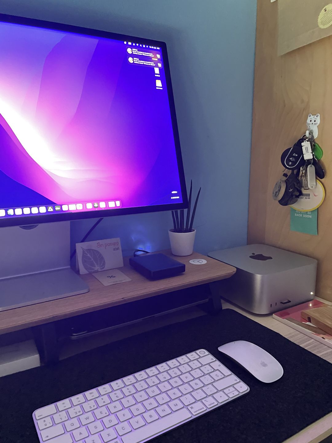 Customer photo review of Desk Shelf (oak)