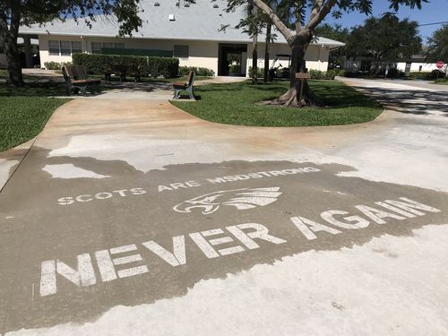 Customer photo review of Invisible Spray 2.0 Professional Bottle (80-110 sq ft)