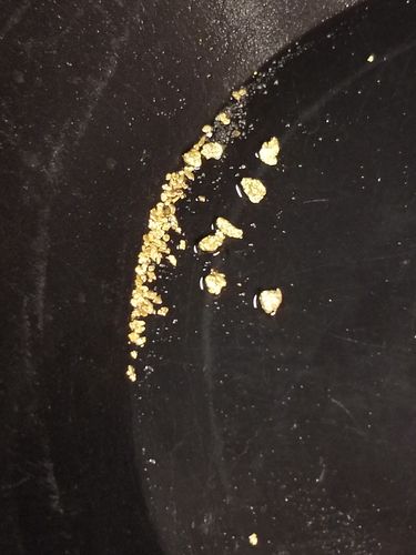 Customer photo review of *BOGO* Gold Diggers Delight '10 TROY OUNCE GOLD HUNT' - Gold Paydirt Panning Concentrates
