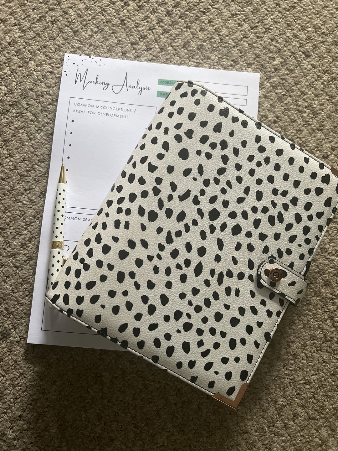 Customer photo review of Dalmatian Organiser Shell