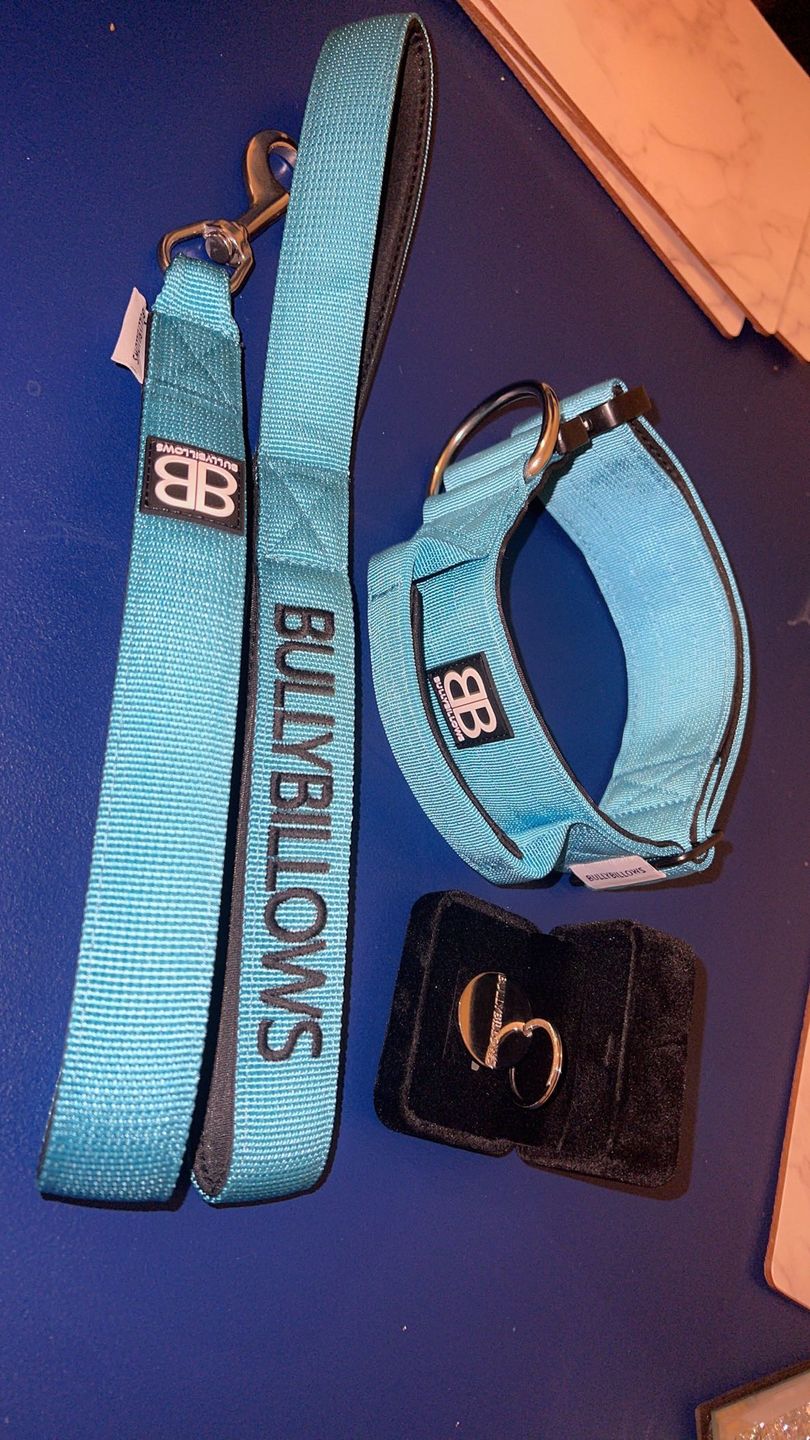 Customer photo review of Nylon Snap Hook Lead | Series 2 - Light Blue