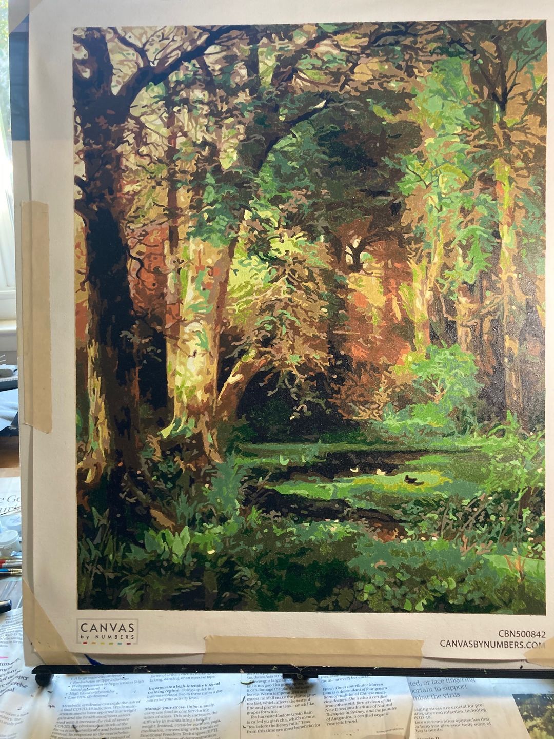 Customer photo review of Forest Scene - Paint by Numbers