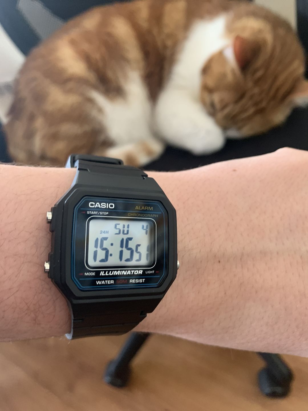 Customer photo review of Reloj Casio Vintage W-217H-1AVDF Classic Líneas Azules