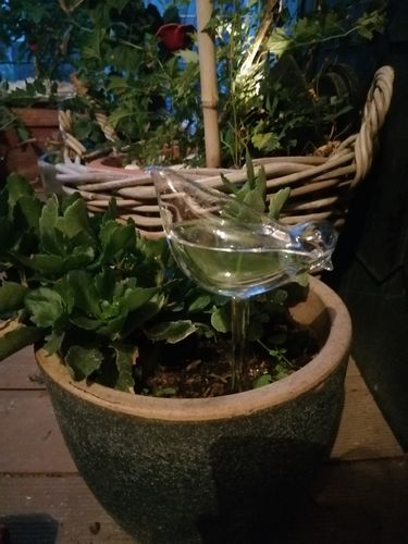 Customer photo review of Mon petit oiseau - Le Jardin de Mamie®