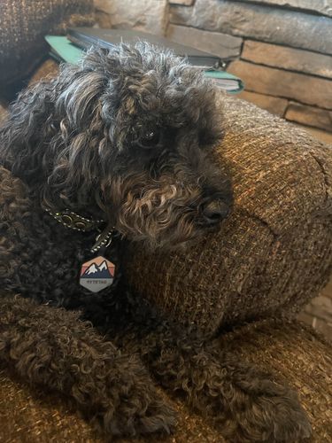 Customer photo review of Explorer Silicone