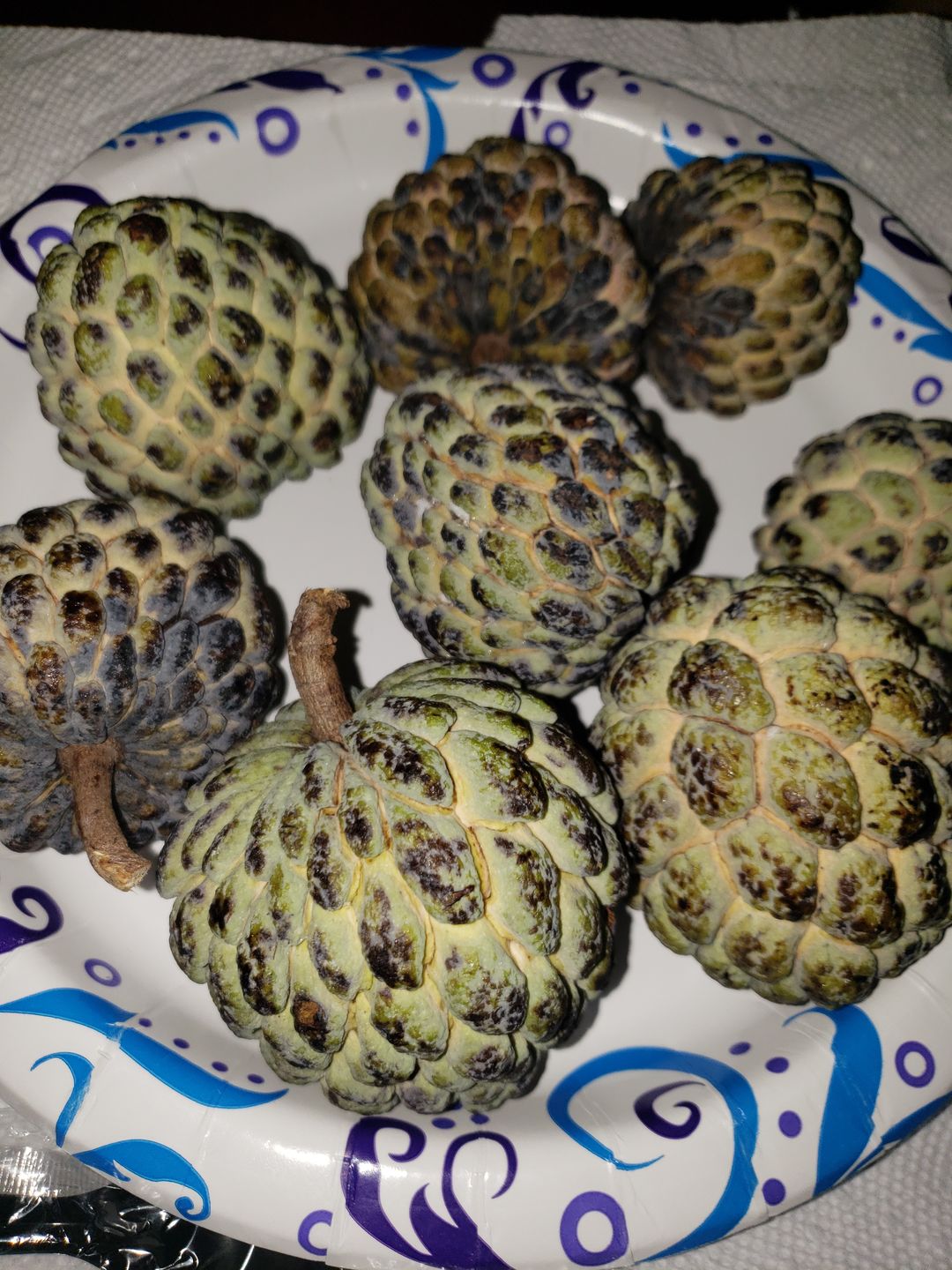 Customer photo review of Sugar Apple (Sweetsop)