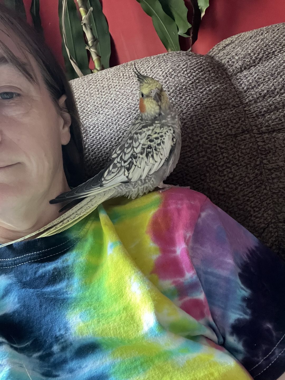 Customer photo review of Flashback Tie Dye T Shirt