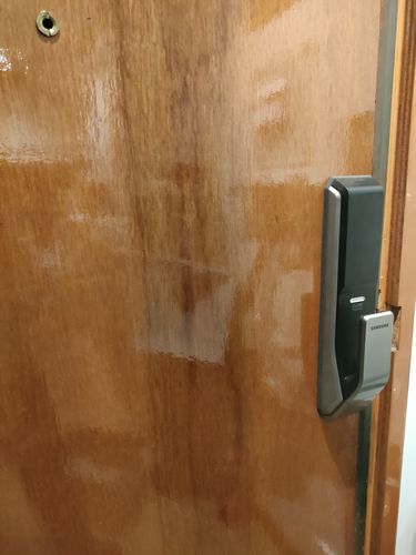 Customer photo review of Samsung SHS-P717