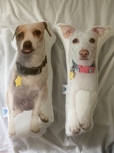 Customer photo review of Create A Custom Dog Pillow