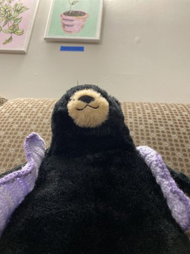 Customer photo review of SKOGGY BEAR