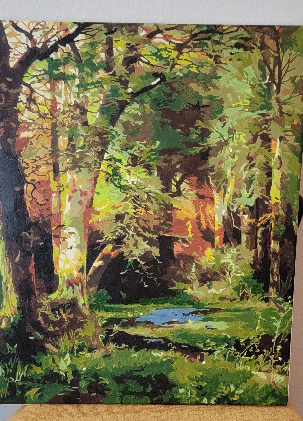 Customer photo review of Forest Scene - Paint by Numbers