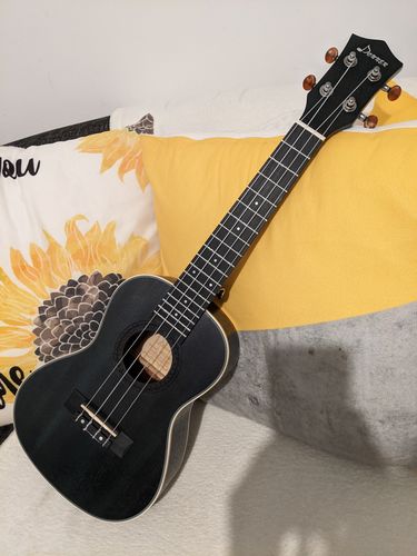 Customer photo review of Donner 23 inch Mahogany Professional Concert Ukulele Beginner Kit for Adults Kids with Online Lesson Bag Aquila String Pick Tuner Strap Cloth (DUC-200, Gradient Black)