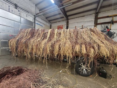 Customer photo review of Hunting Blind Raffia Grass (Pack)