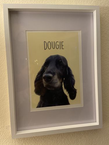 Customer photo review of Classic - Custom Pet Portrait