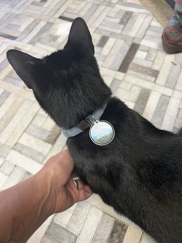 Customer photo review of Explorer