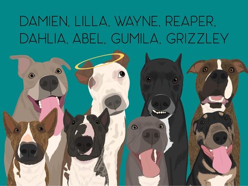 Customer photo review of Custom Pet(s) Portrait