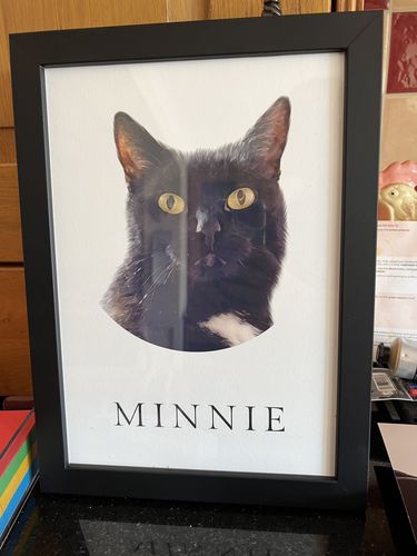 Customer photo review of Timeless - Custom Pet Portrait