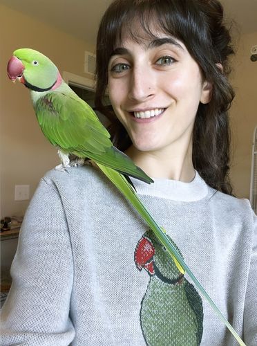 Customer photo review of Full-Body Pet Custom Sweater