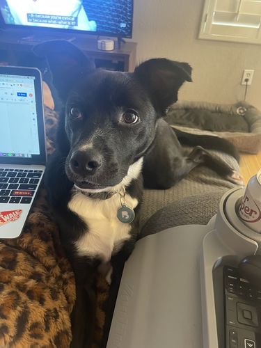 Customer photo review of Teal