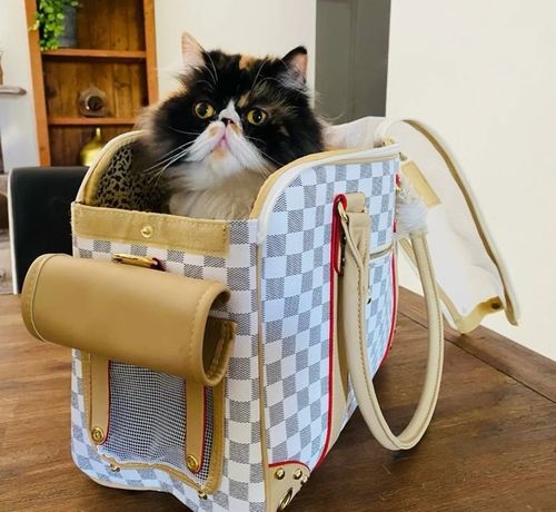 Customer photo review of Designer Haustiertasche - LETiiUA - by Paolo Contini