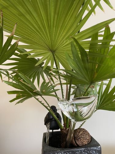 Customer photo review of Mon petit oiseau - Le Jardin de Mamie®