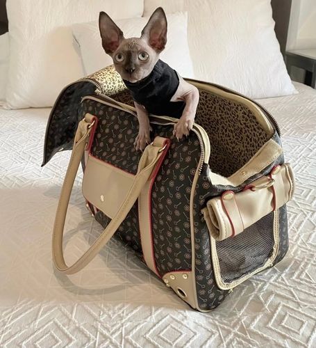 Customer photo review of Designer Haustiertasche - LETiiUA - by Paolo Contini