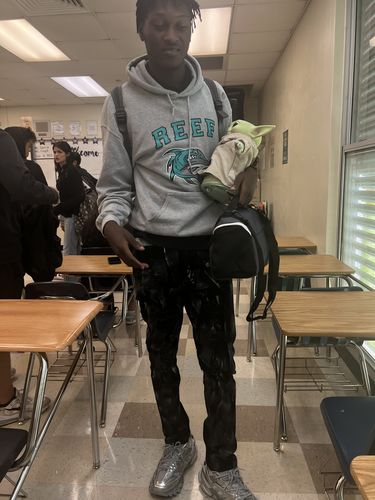 Customer photo review of Paint Brushed Denim (Black-White-Grey)