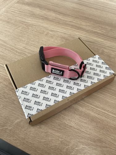 Customer photo review of LITE-25 Collar - Pink (AirTag Collar)