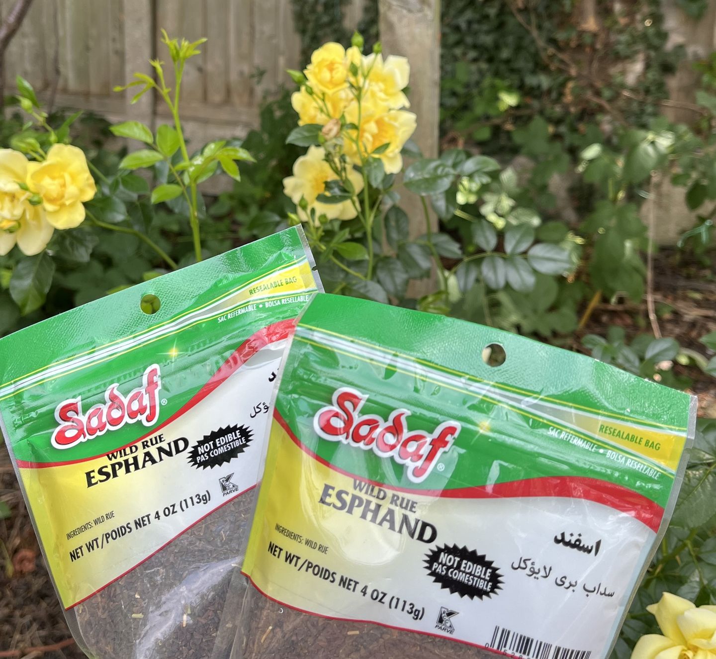 Customer photo review of Esphand Incense - Wild Rue Seed - Pack of 2