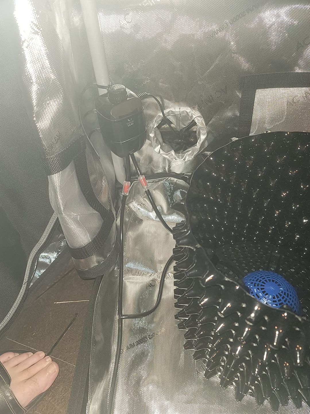 Customer photo review of AutoPot Air Dome Kit