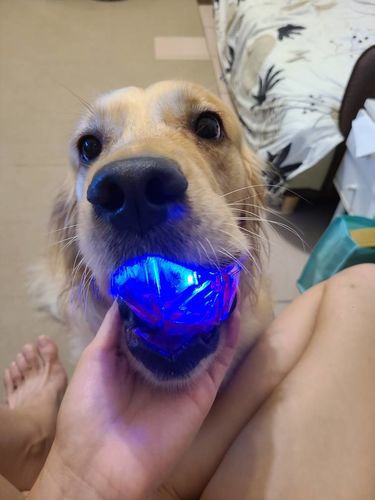 Customer photo review of Q-MONSTER 星際閃光球