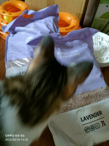 Customer photo review of [4包以上免運] PANI 豆腐砂 原味 薰衣草 綠茶 7L