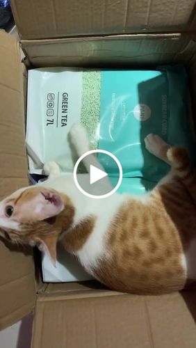 Customer video review of [4包以上免運] PANI 豆腐砂 原味 薰衣草 綠茶 7L