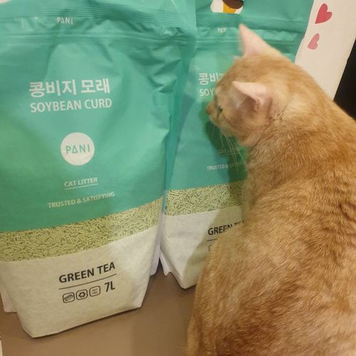 Customer photo review of [4包以上免運] PANI 豆腐砂 原味 薰衣草 綠茶 7L