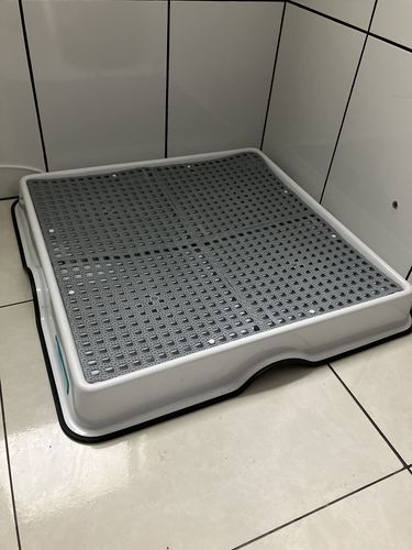 Customer photo review of Weasy Cão