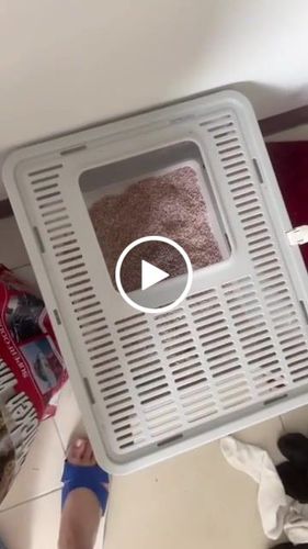 Customer video review of [4包以上免運] PANI 豆腐砂 原味 薰衣草 綠茶 7L