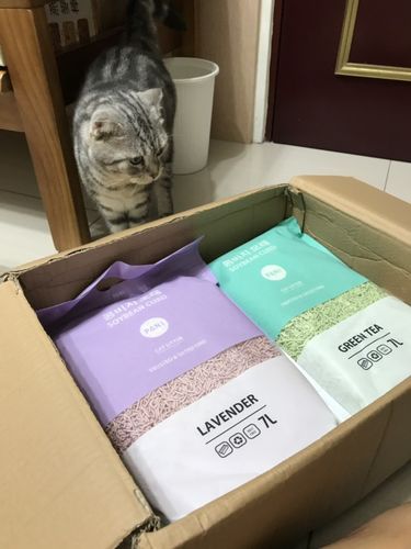 Customer photo review of [4包以上免運] PANI 豆腐砂 原味 薰衣草 綠茶 7L