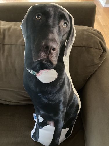 Customer photo review of Create A Custom Dog Pillow