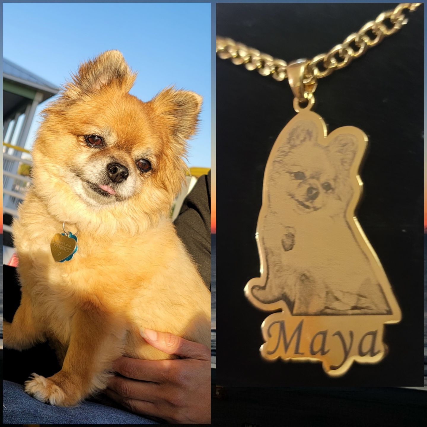 Customer photo review of Custom Photo Engraved Pet Necklace