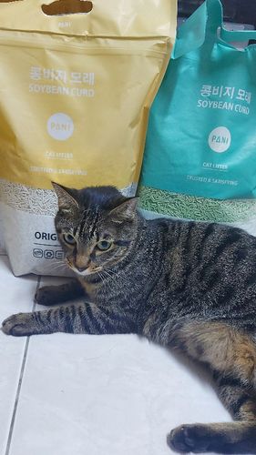 Customer photo review of [4包以上免運] PANI 豆腐砂 原味 薰衣草 綠茶 7L