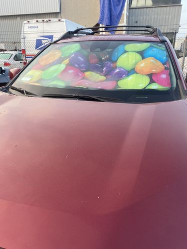 Customer photo review of Colorful Chocolate Candy Print Car Sun Shade