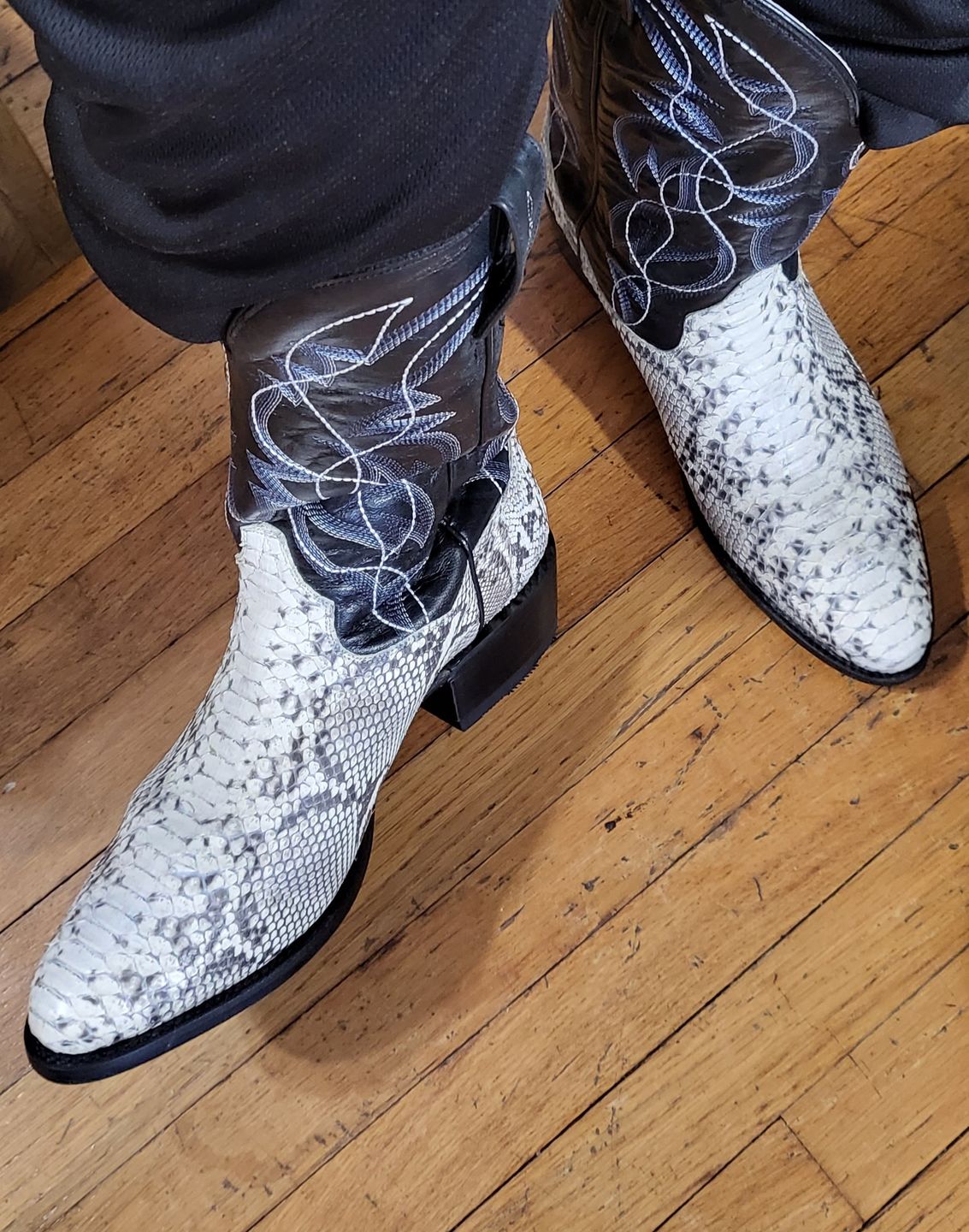 Customer photo review of Dan Post Men's Manning Snake & Black Western Boots DP3036