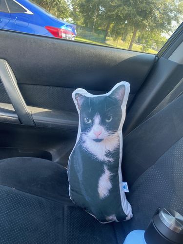 Customer photo review of Create A Custom Dog Pillow